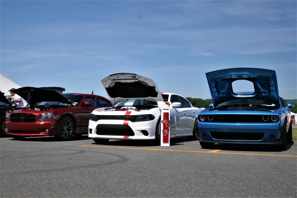 Patriotic lineup of performance cars at a show